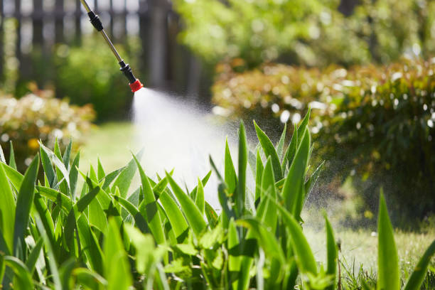 24/7 Emergency Wasp Removal experts in Maiden, NC