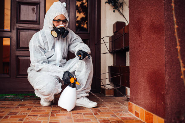 Reliable Wasp Removal contractor in Maiden, NC by Show Me Pest Control